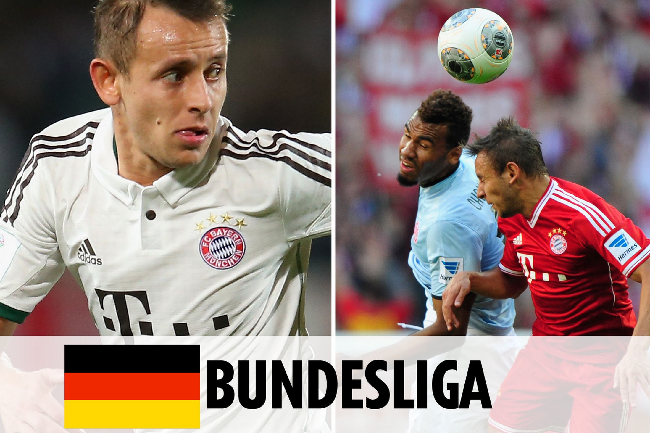 德约科维奇 德约科维奇